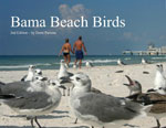 Bama Beach Birds