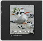 Book of Terns