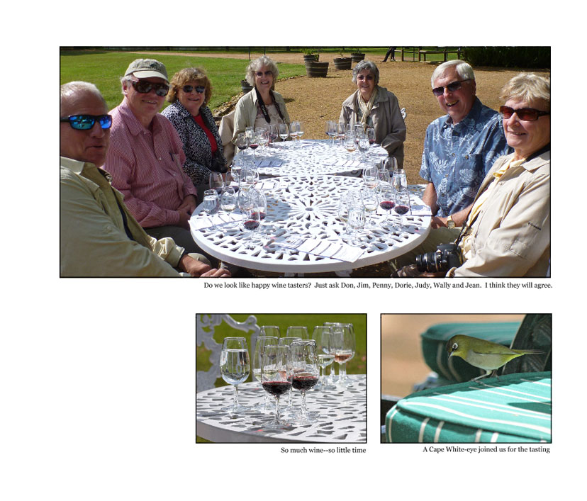 Stellenbosch Wine Country