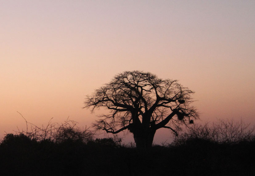 Southern Africa Sunset