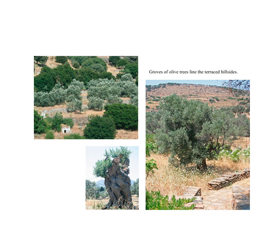 Naxos Landscapes