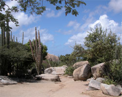Aruba Landscape