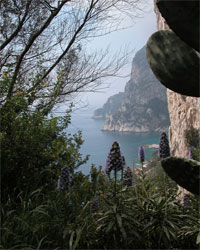 Spring on Capri
