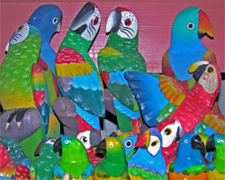 Plethora of parrots