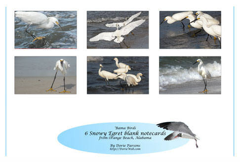 Egrets Notecard Set