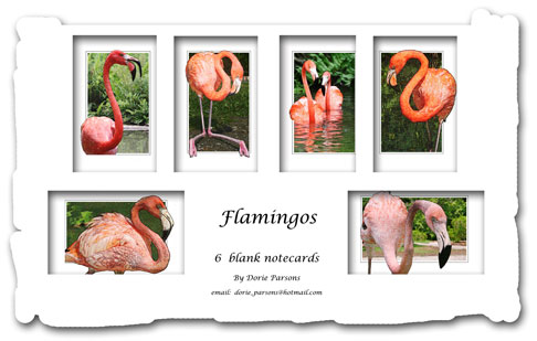 Flamingos Notecard Set